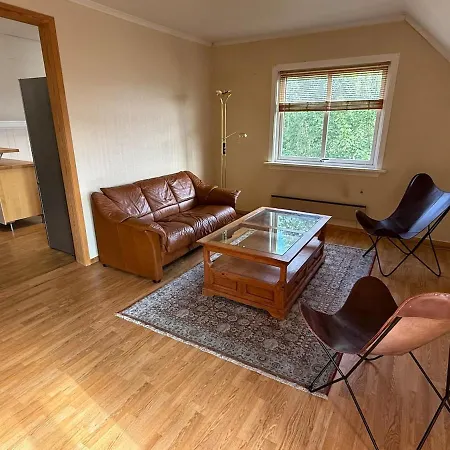 Villa Kongsberg Apartament Kongsberg