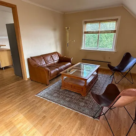 Apartament Villa Kongsberg *